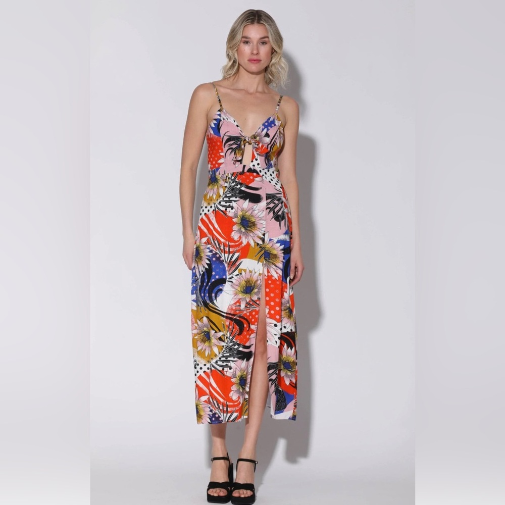 Walter Baker Natasha Dress